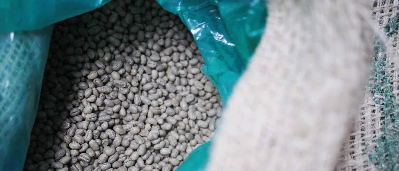 Image of Kenya Gakuyuni Pb