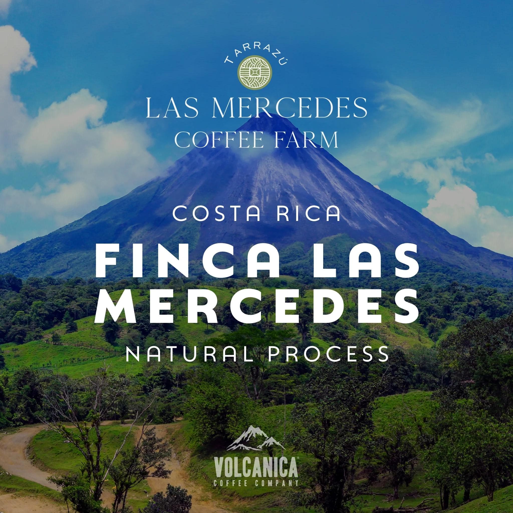 Image of Costa Rica Coffee Finca Las Mercedes Natural Process