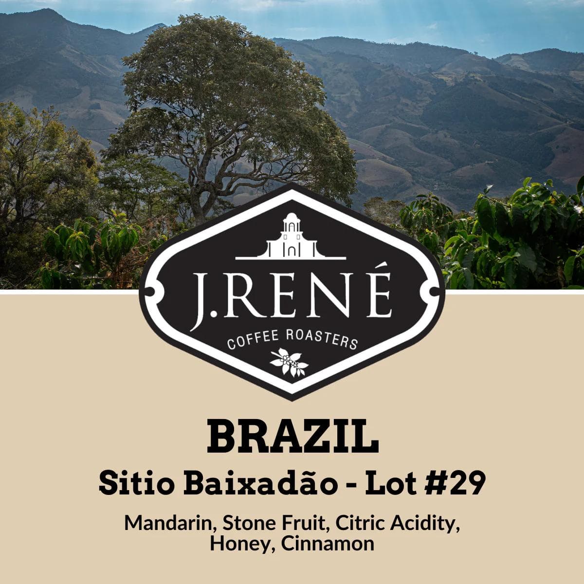 Image of Brazil Sitio Baixadão - Lot #29