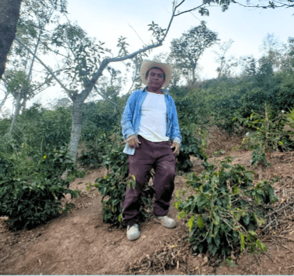 Image of Guatemala - Samuel Escalante - Washed