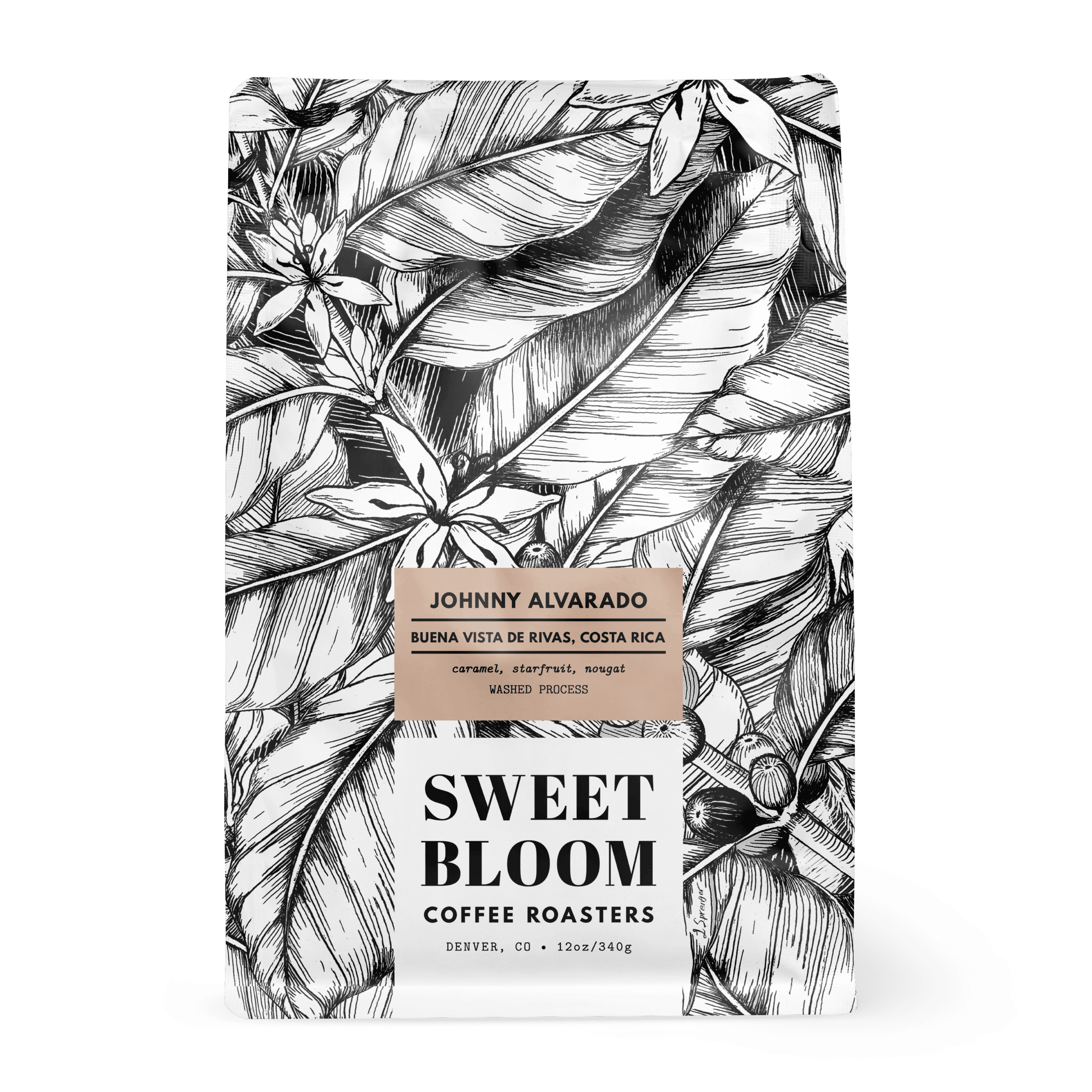 Image of Johnny Alvarado