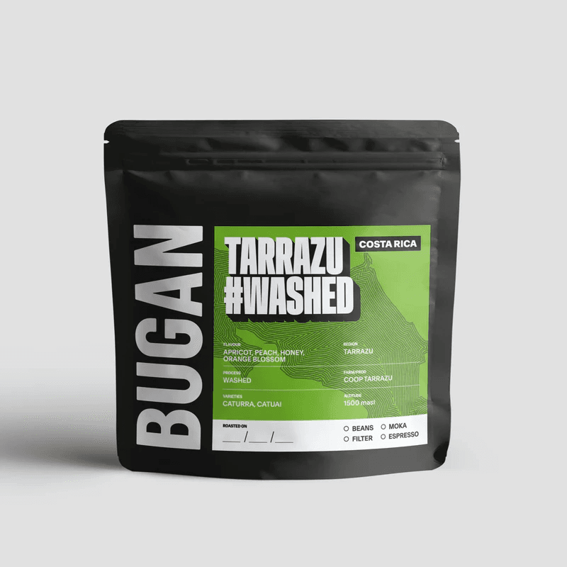 Image of Tarrazu Washed - Costa Rica