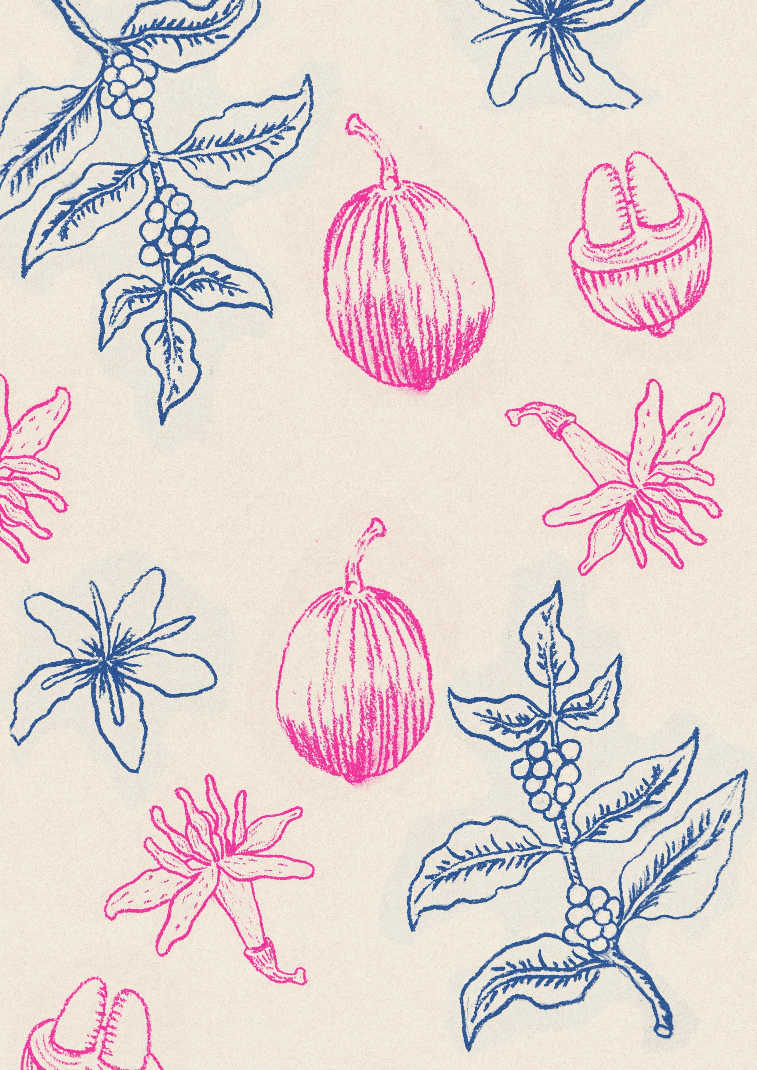 Image of Pepe Jijon Nature