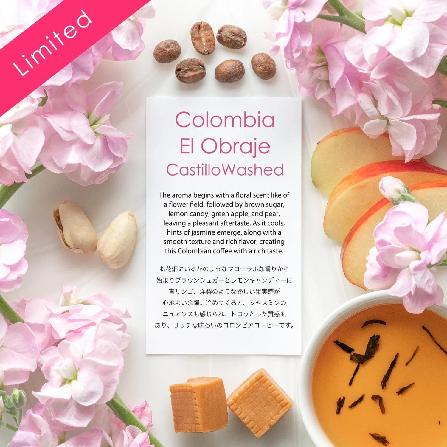 Image of Colombia El Obraje Castillo Washed