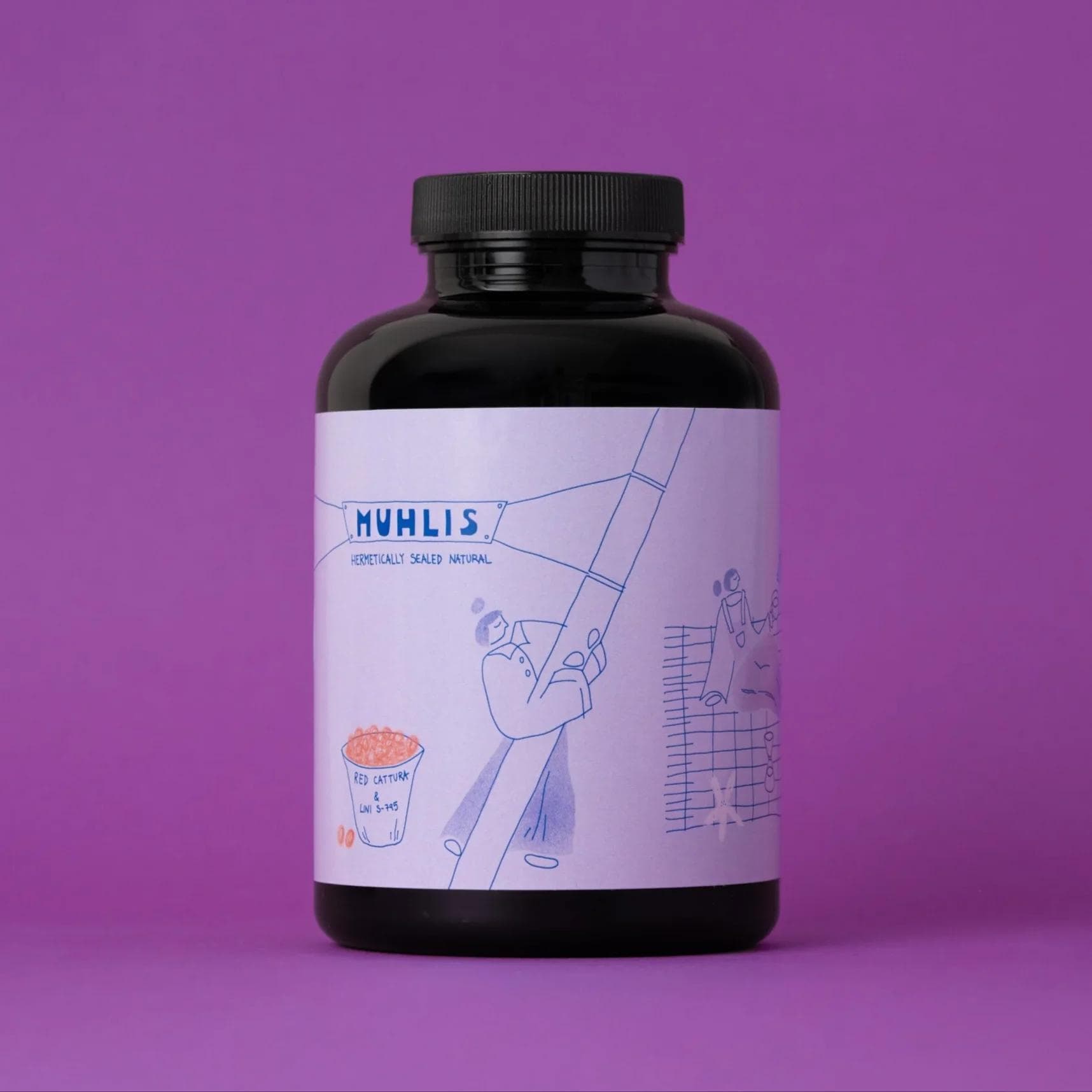 Image of Indonesia Muhlis