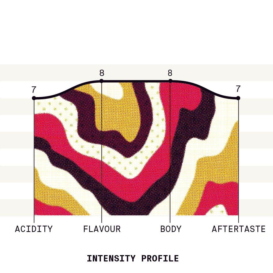 Image of Ecuador Hacienda Pillcocaja Sidra Anaerobic