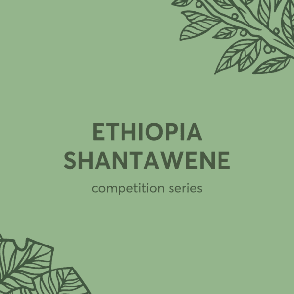 Image of Ethiopia Shantawene