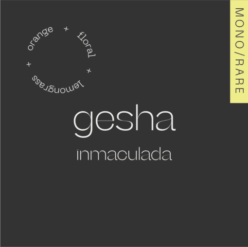 Image of Gesha Colombia  Inmaculada