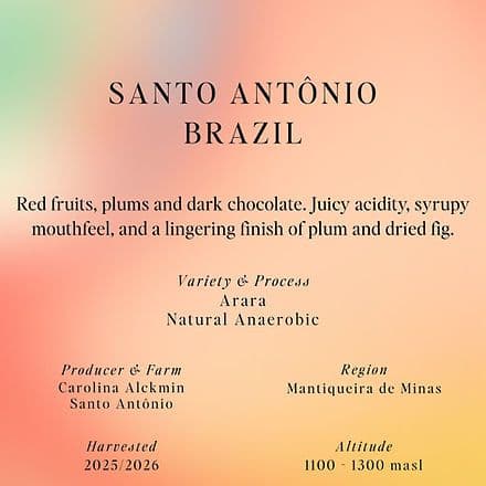 Image of Arara Natural Anaerobic Santo Antonio Brazil