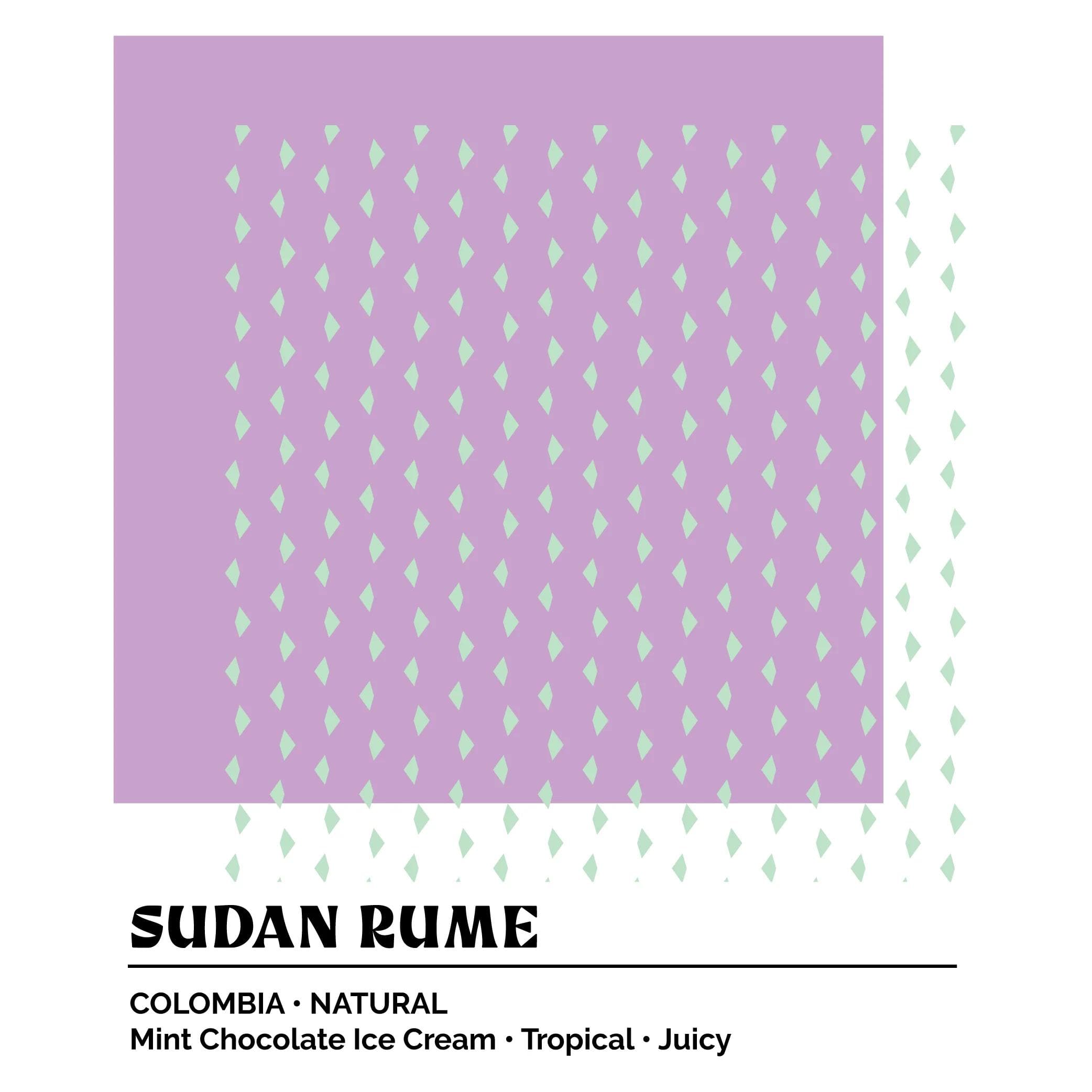 Image of Epoch X - CGLE Sudan Rume