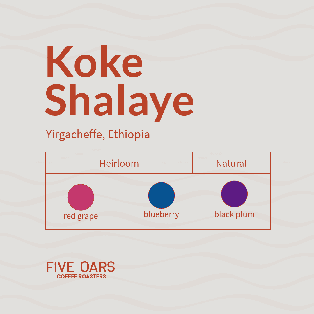 Image of Koke Shalaye