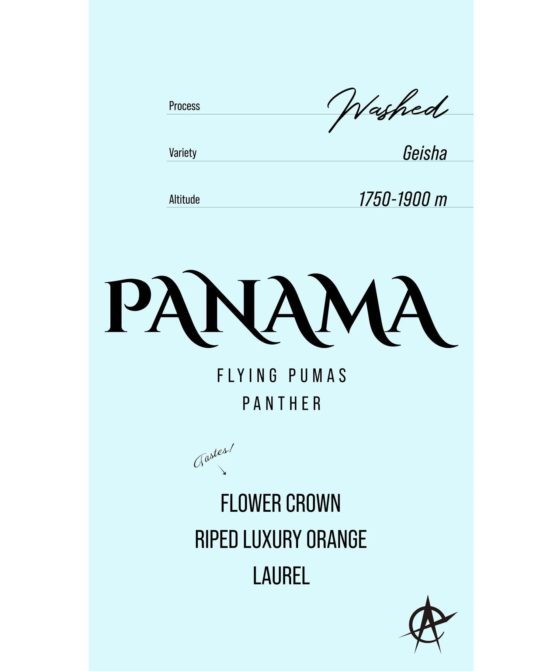 Image of Panama Flying Pumas Panther, Geisha - Washed