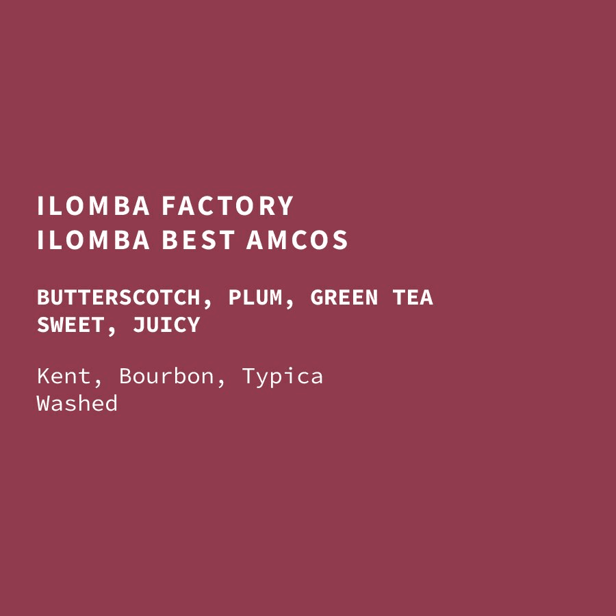 Image of Tanzania Ilomba Factory