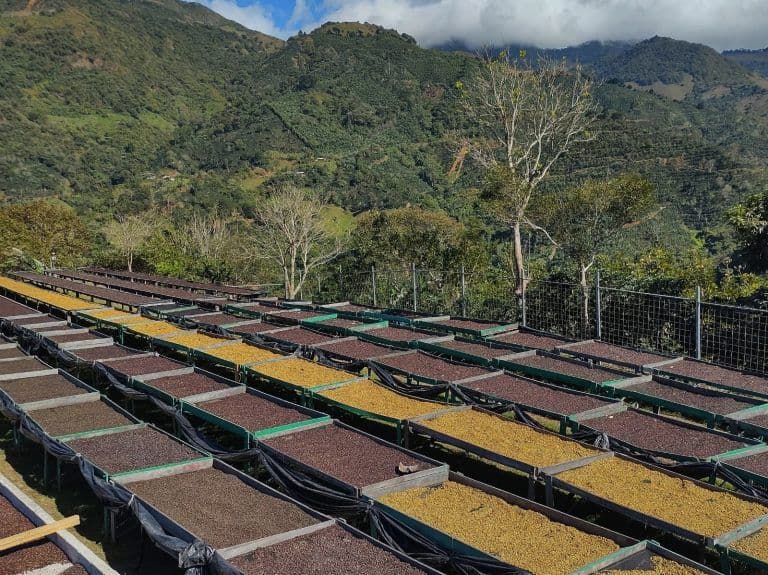 Image of Costa Rica Finca Monte Alto