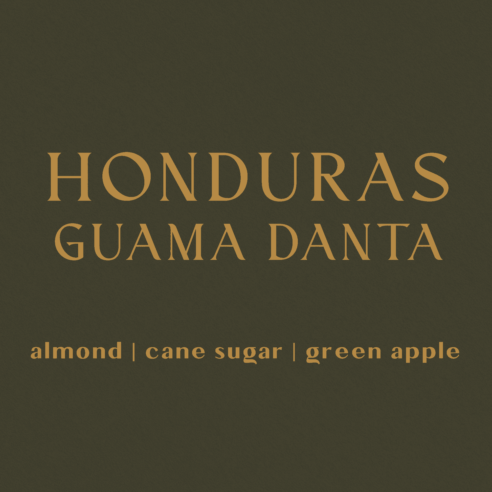 Image of Honduras Reserva Guama Danta - Organic