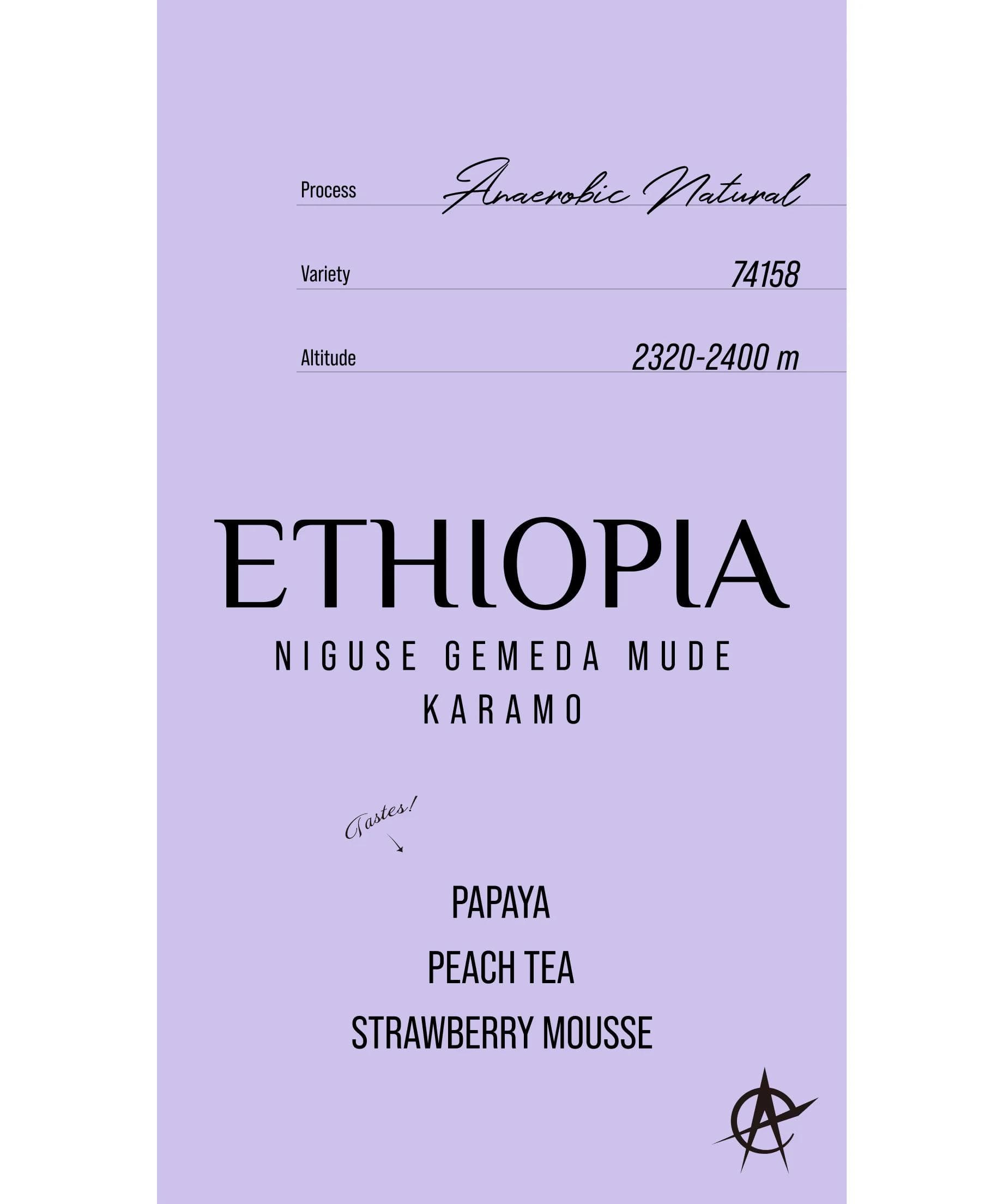 Image of Ethiopia Niguse Gemeda Mude Karamo, 74158 - Anaerobic Natural