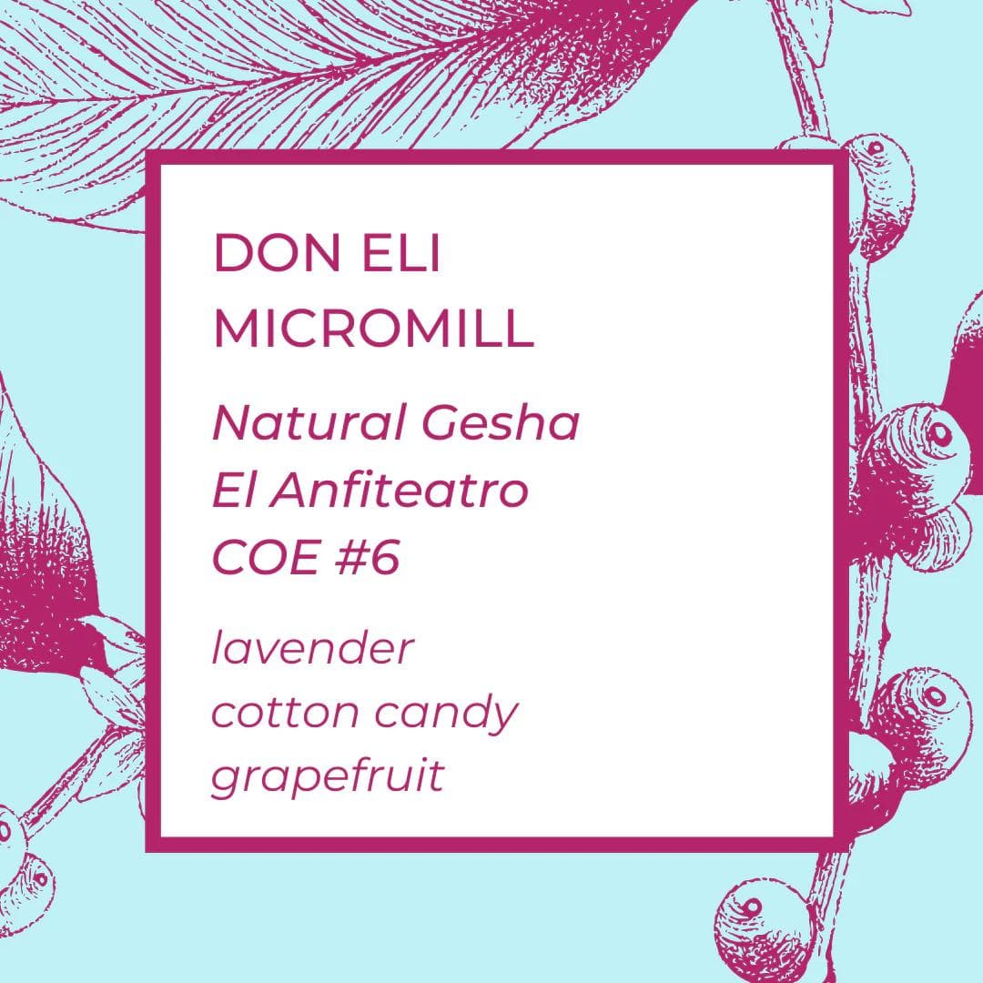 Image of Don Eli Natural Gesha COE #6 - Peaks Series