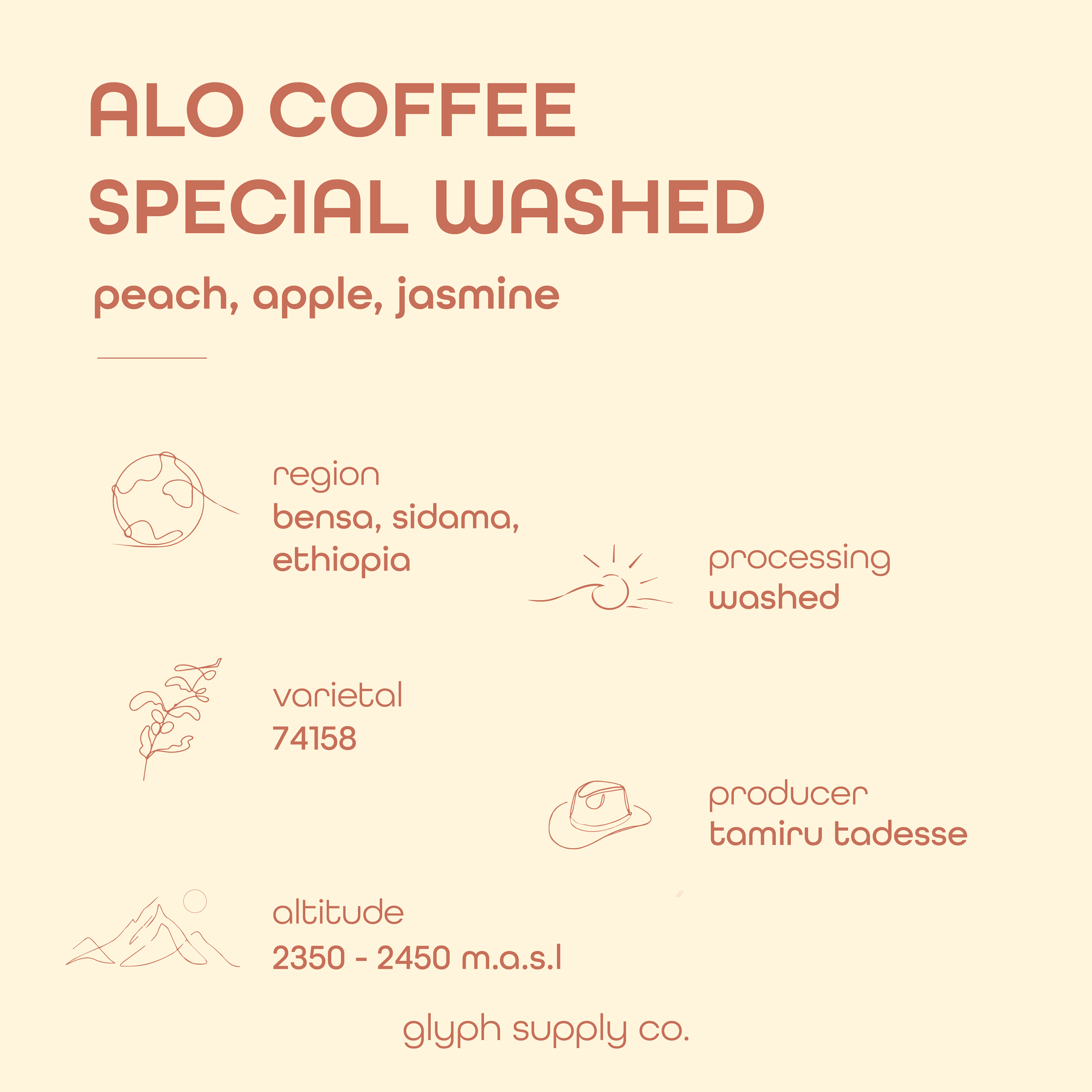 Image of Alo Coffee Special Washed Ethiopia