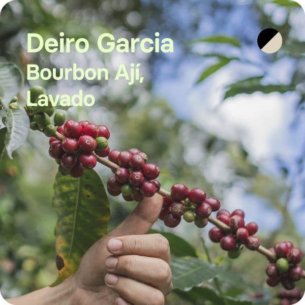 Image of Deiro Garcia Colombia