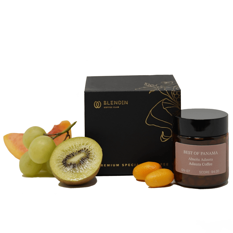 Image of BOP 2024 GN-07 Absolu Adaura