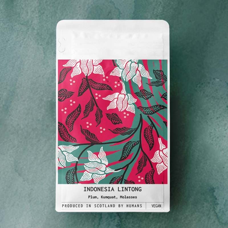 Image of Indonesia Sumatra Lintong