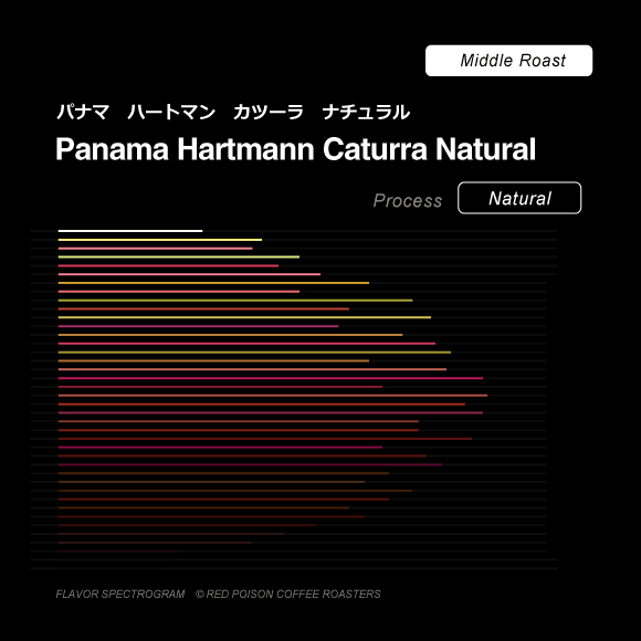 Image of Panama Hartmann Caturra Natural