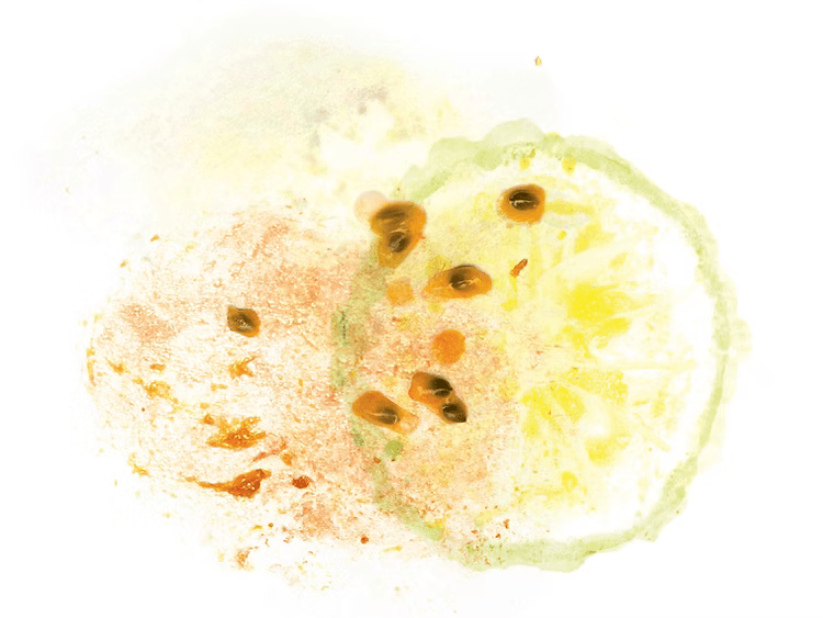 Image of Colombia Bellavista Geisha