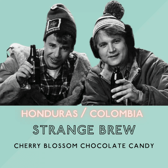 Image of Strange Brew 