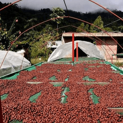 Image of San Francisco Huabal Natural - Jaen