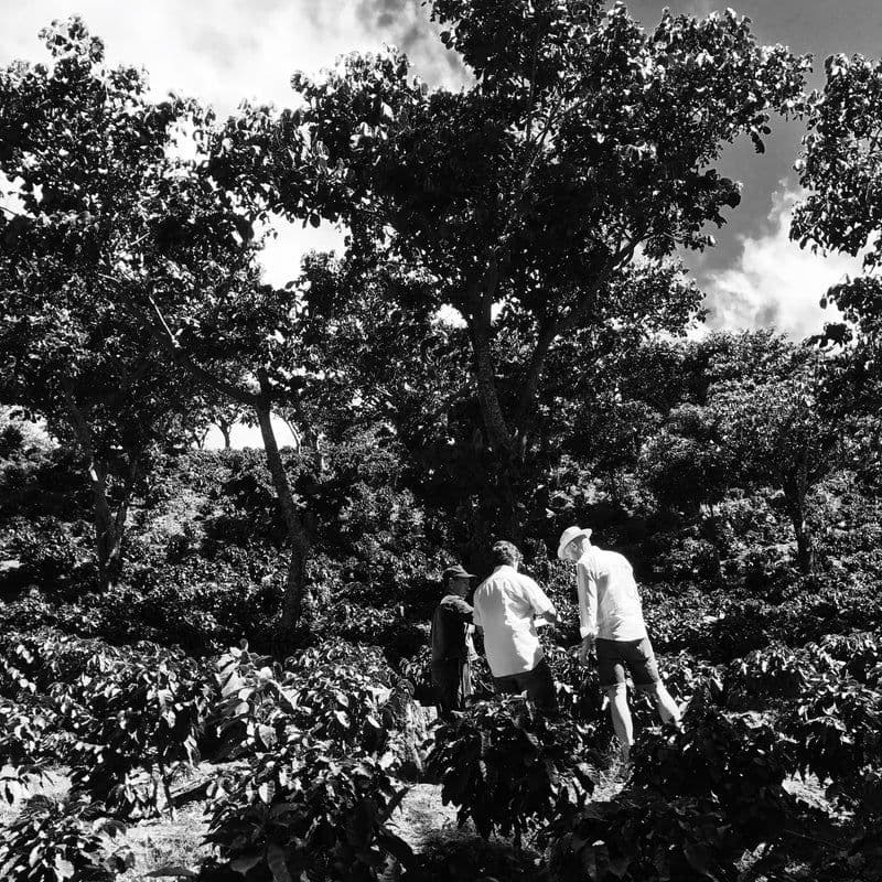 Image of 3 El Salvador