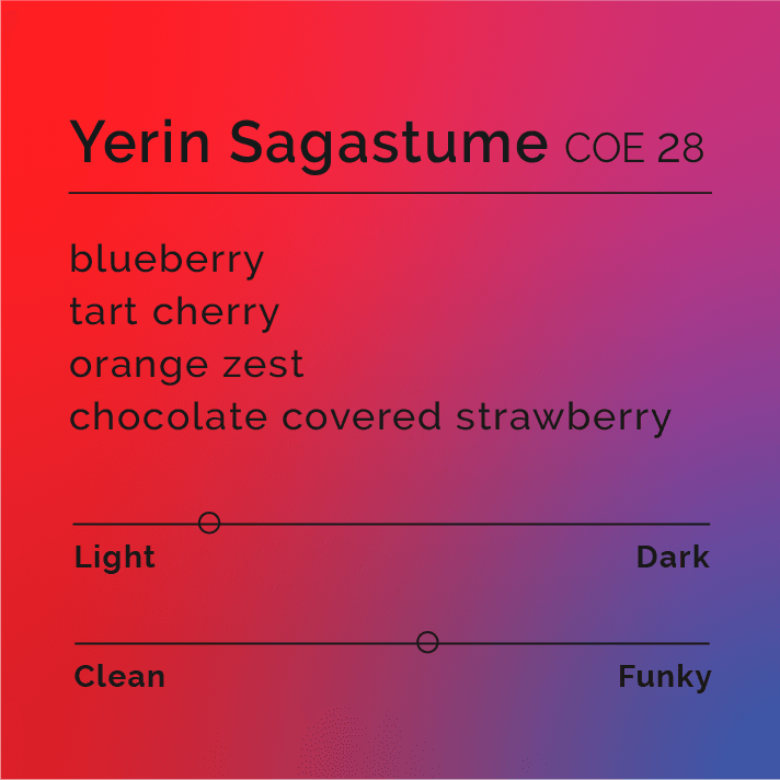 Image of Yerin Sagastume - COE 28