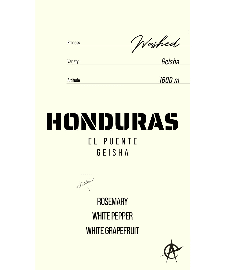 Image of Honduras El Puente, Geisha - Washed