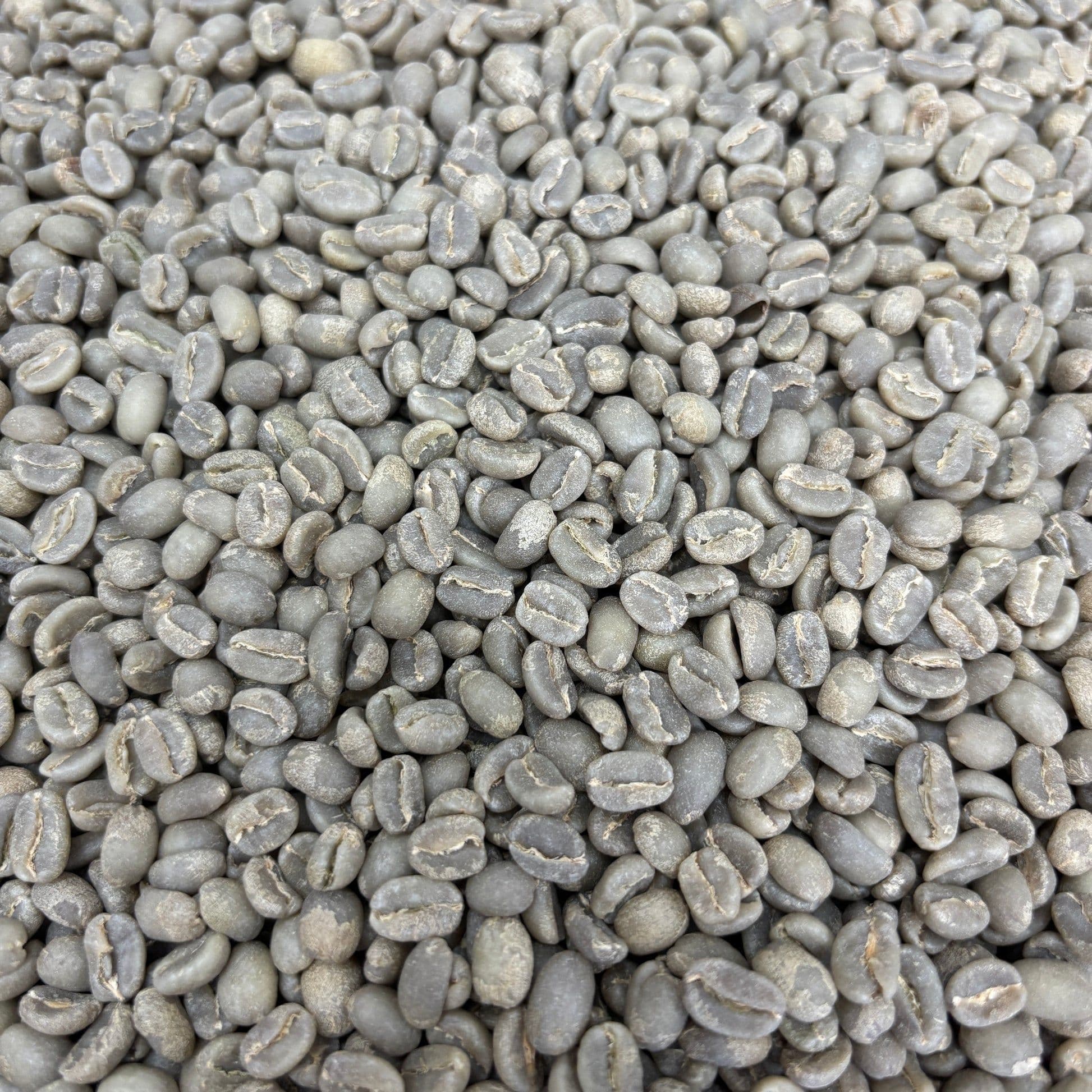 Image of Tagel Alemayehu G1 - Ethiopia Washed - Green