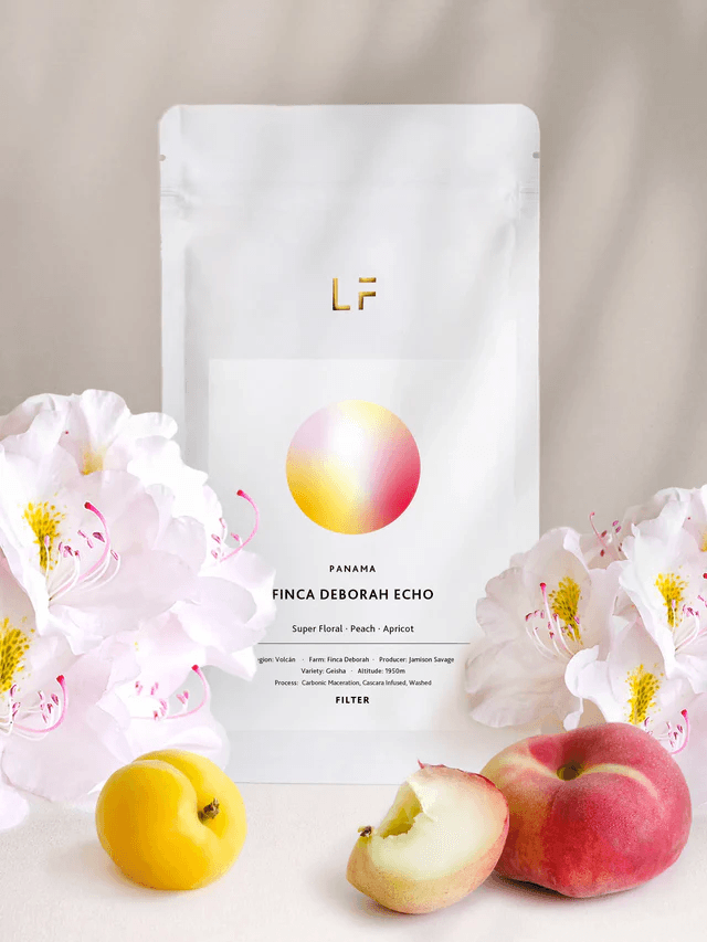 Image of Echo Geisha - Finca Deborah