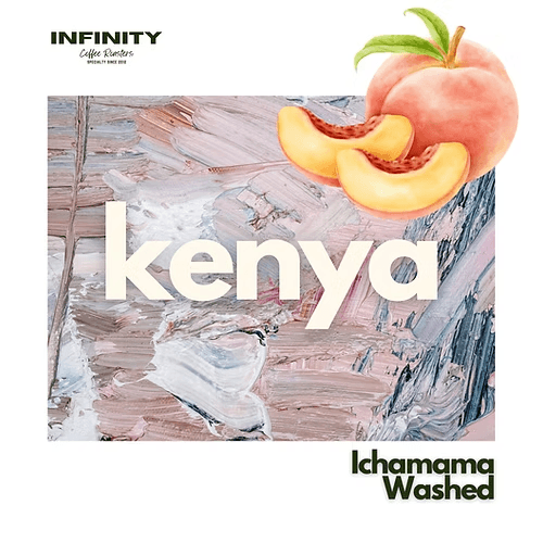 Image of Kenya Ichamama Washed