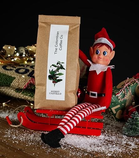 Image of Honey Castillo