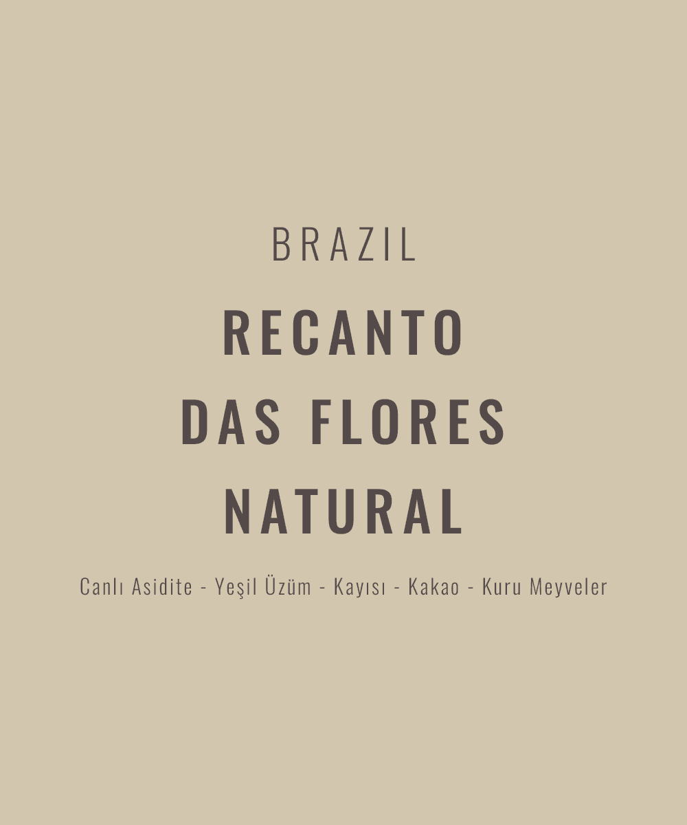 Image of Brazil - Recanto Das Flores Natural Catuai