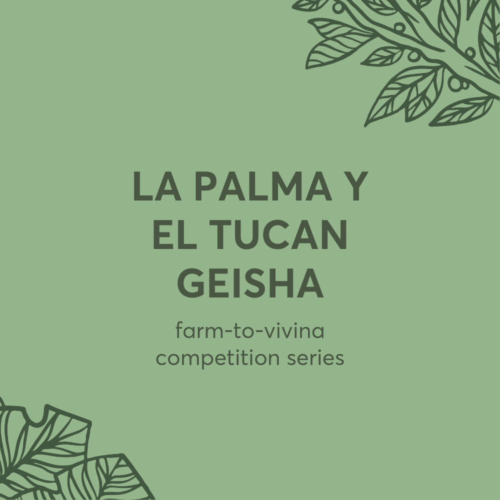 Image of Vivina Competition Series - La Palma Y El Tucan Geisha