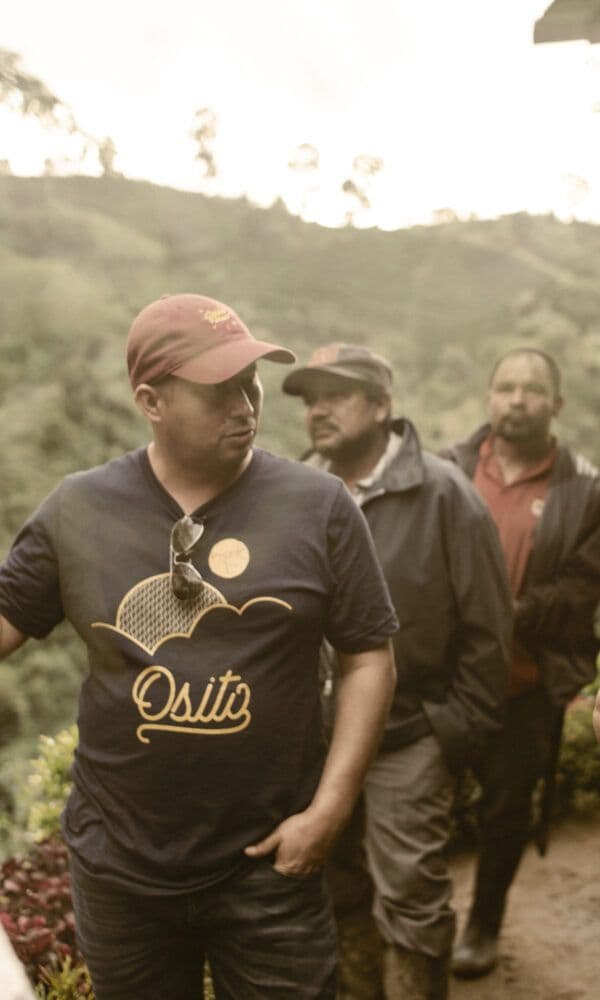 Image of Divino Nino