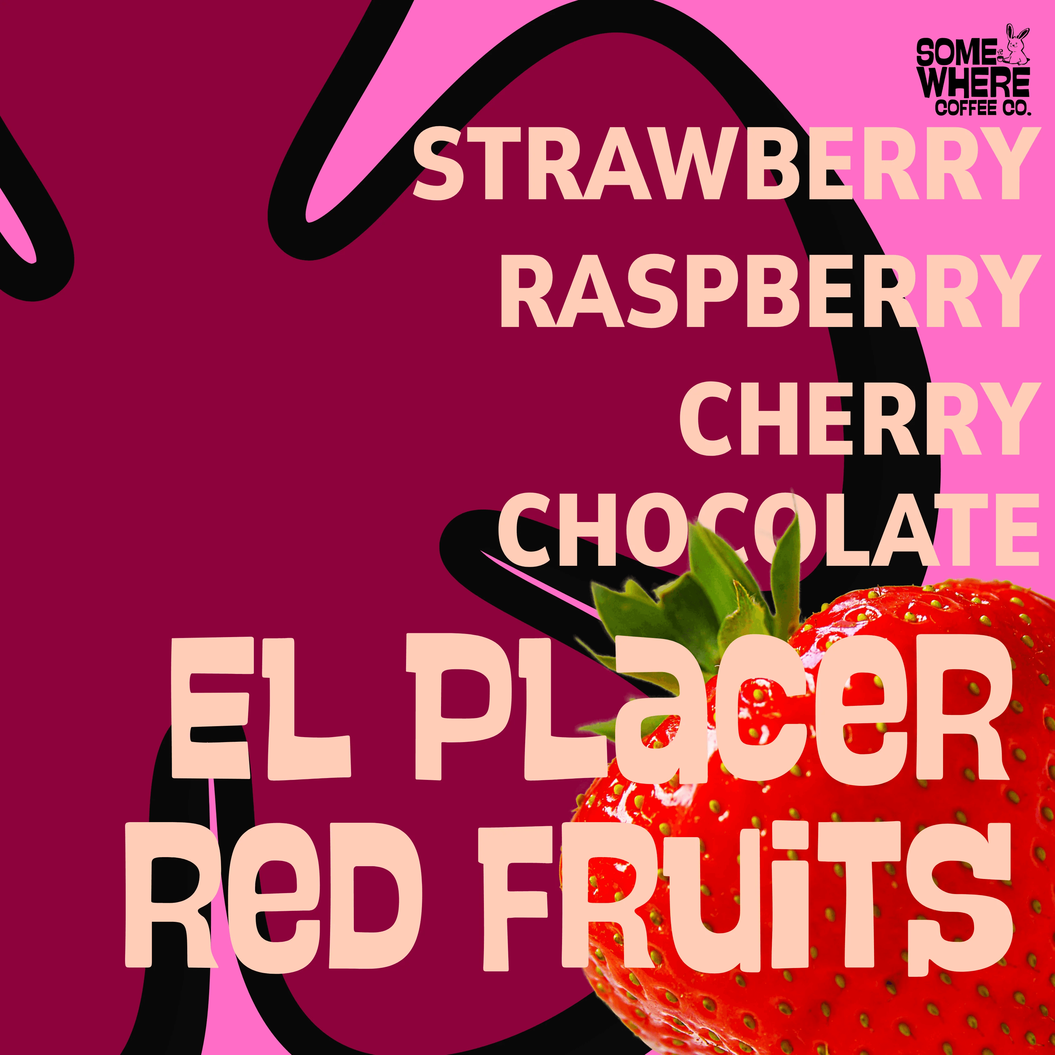 Image of Colombia El Placer Red Fruits
