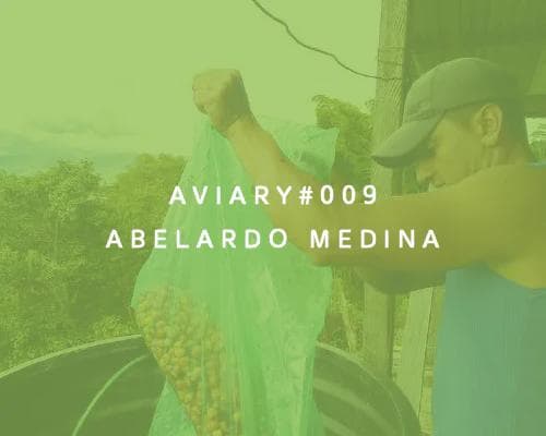 Image of 009 - Abelardo Medina