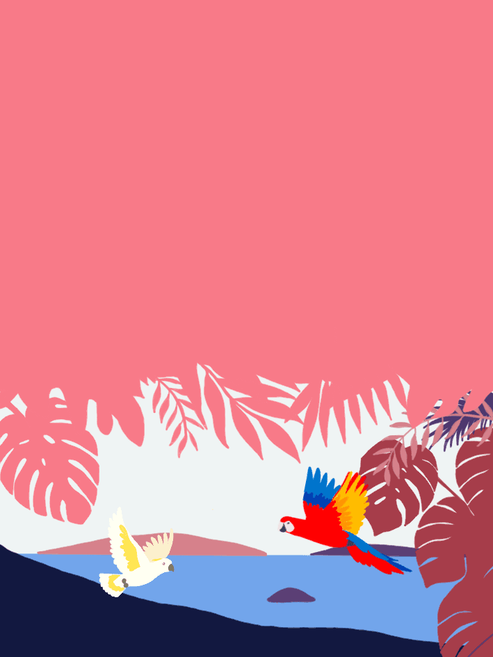 Image of Pitalito Colombia