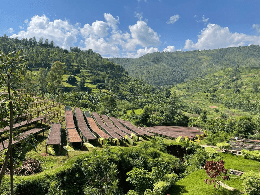 Image of Rwanda Bumbogo