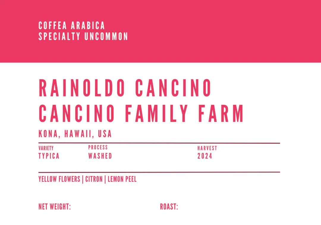 Image of Rainoldo Cancino Kona