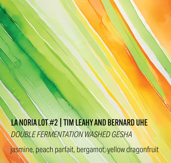 Image of La Noria Lot 2 - Double Fermentation Washed Gesha - Ecuador