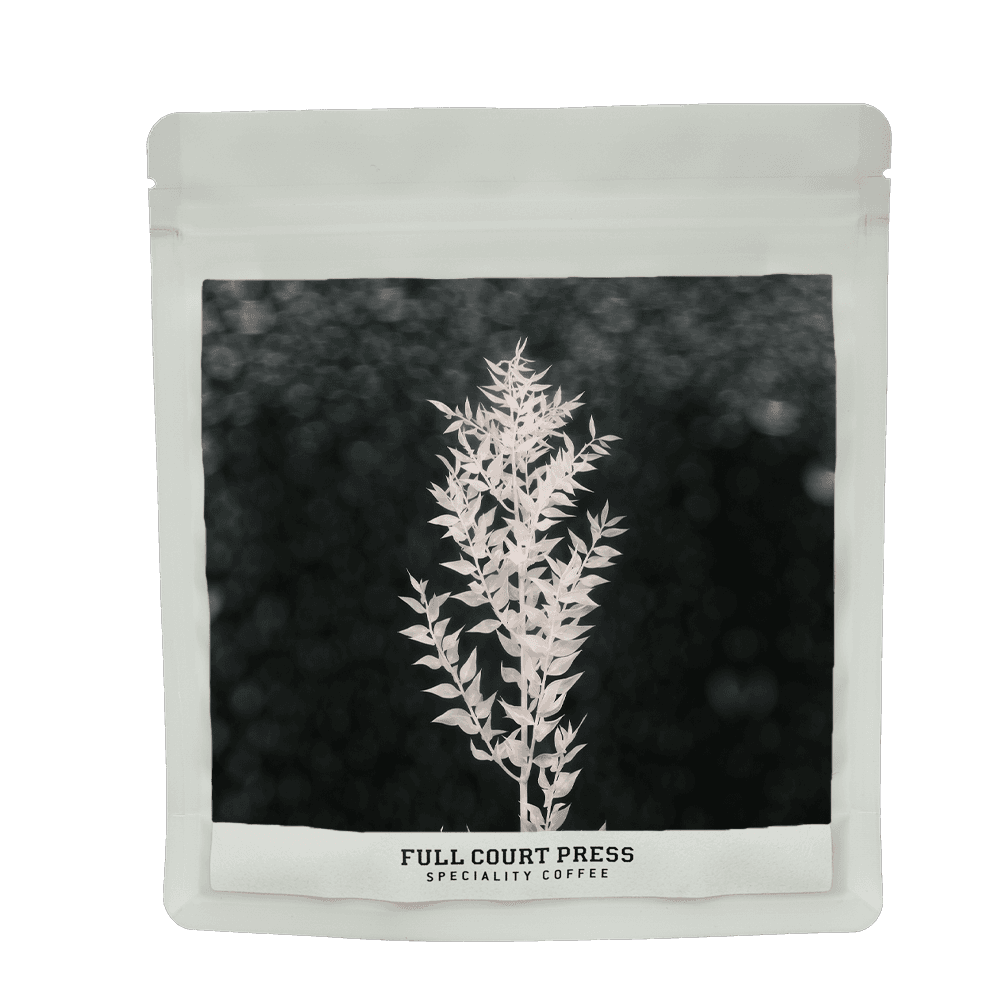 Image of Demeter Geisha