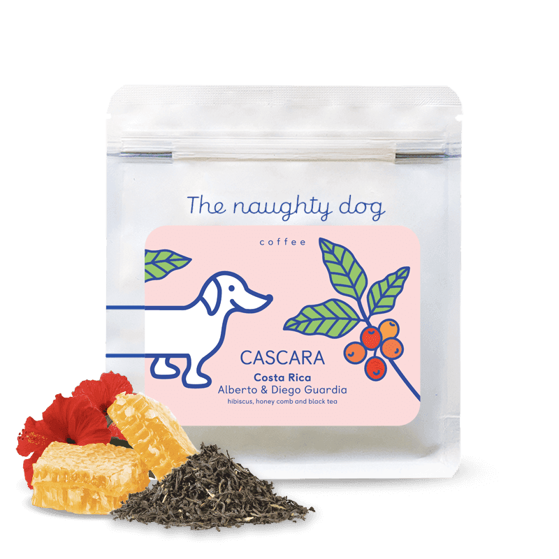 Image of Costa Rica Diego Guardia