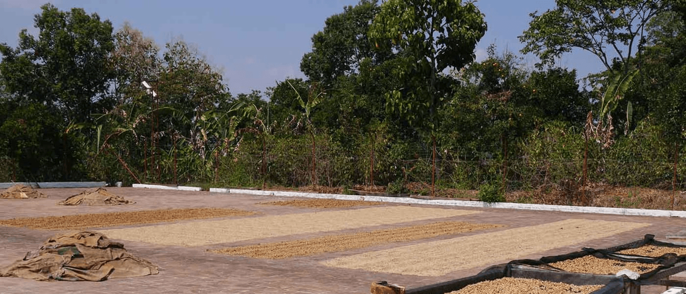 Image of El Salvador Santa Rita