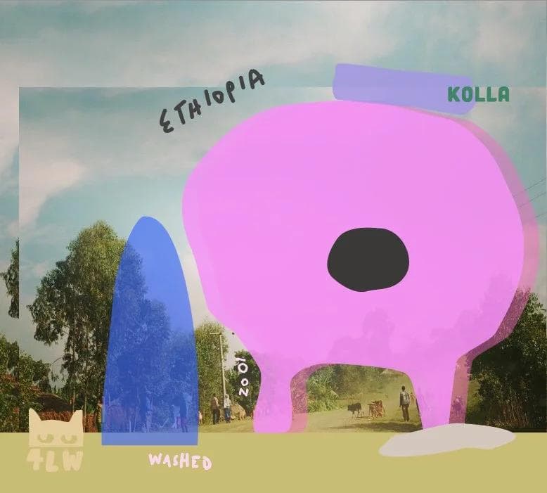 Image of Ethiopia Kolla