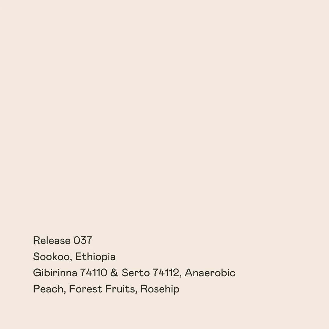 Image of Release 037 - Sookoo